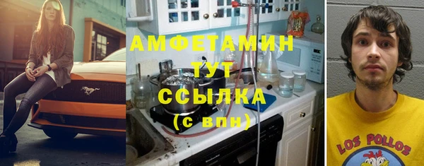 прущий лед Верея